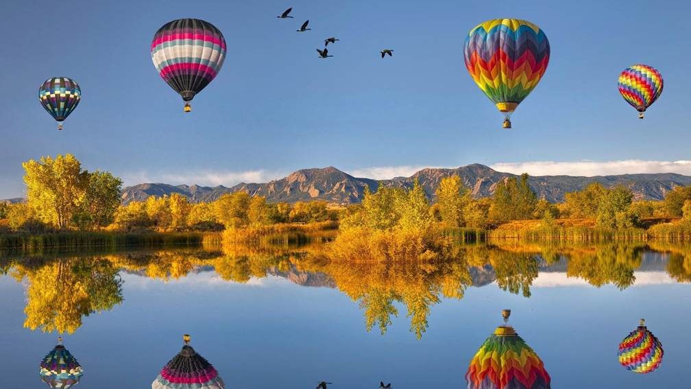 hot air balloons and geese reflected in a lake