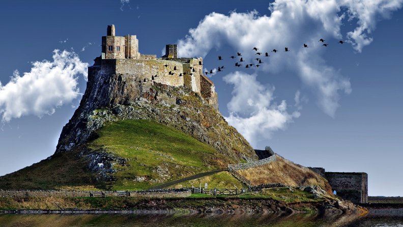 crane flying by a castle on a hill