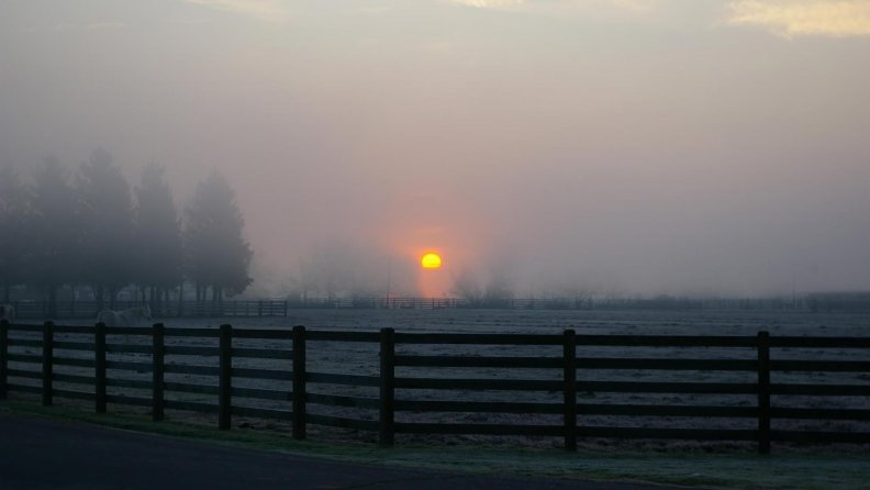 horse_ranch_in_evening_fog.jpg