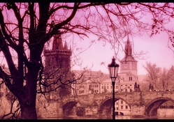 Prague under pink glass