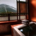 japanese bathroom with a view