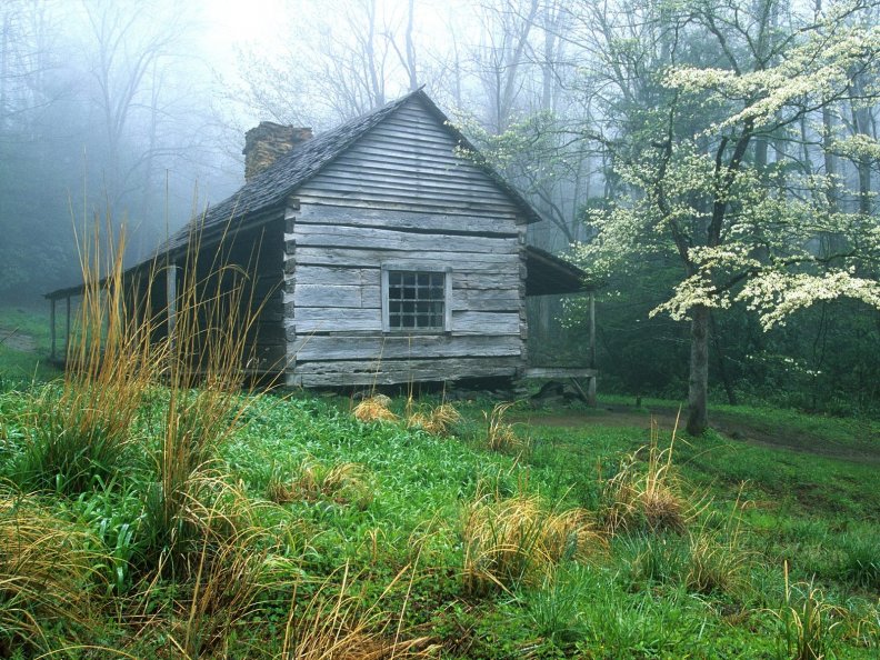 cottage in the cloud forest