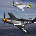Two WWII American P_51