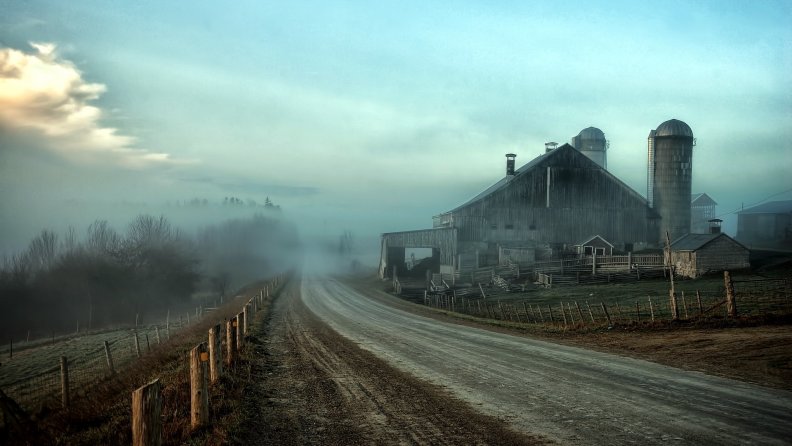 gorgeous foggy farmstead