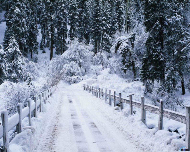 snow_covered_bridge.jpg