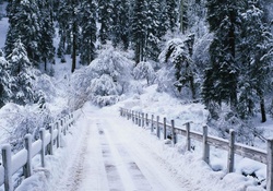 snow Covered Bridge