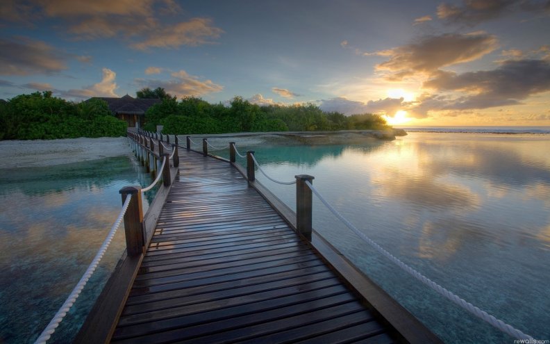 wooden bridge in a paradise resort