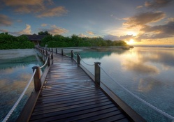 wooden bridge in a paradise resort