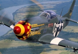 WWII P51 Mustang