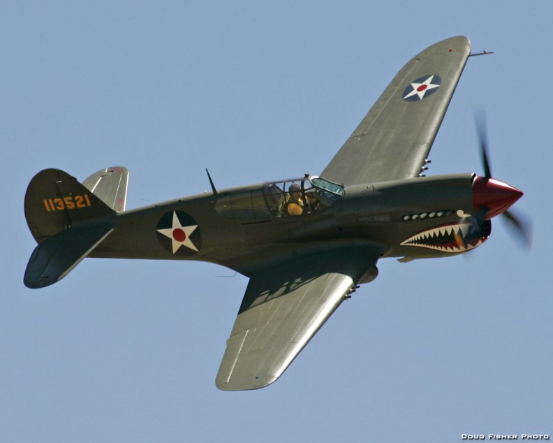 P40 Kittyhawk