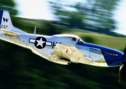 P_51 Mustang