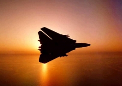 Grumman F 14 Tomcat _ Silhouette @ Sunset.