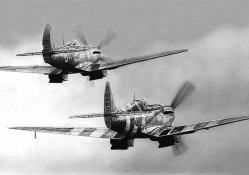 Two Spitfires