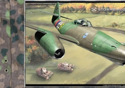 Me262 over Tiger 2's