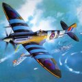 Spitfire Mk XIV