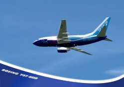 Boeing 737_600