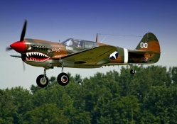 P40 Warhawk