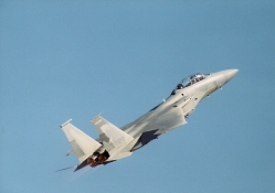 F_15B Eagle