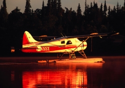 Beaver Floatplane