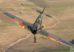 Hawker Hurricane Mk XII