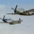P_47 Thunderbolt and P51 Mustang
