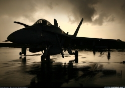 F_18 Hornet 