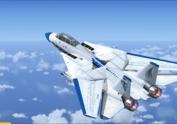F_14 Tomcat FSX