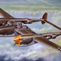 World War II Combat Aircraft (P_38 Lockheed Lightning)