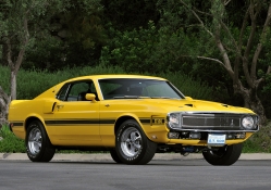1969_Shelby_Gt500