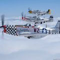 North American P51 Mustang fighters