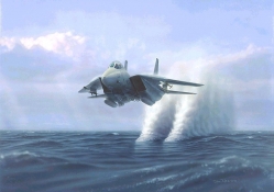 F_14 Tomcat