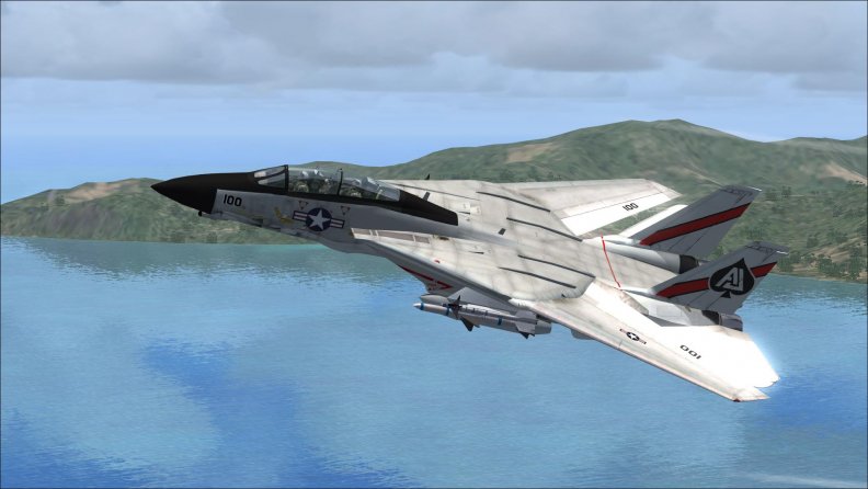 Fsx F_14 Tomcat VF_41