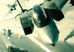 F 14 Tomcat in Flight Ace Combat 5