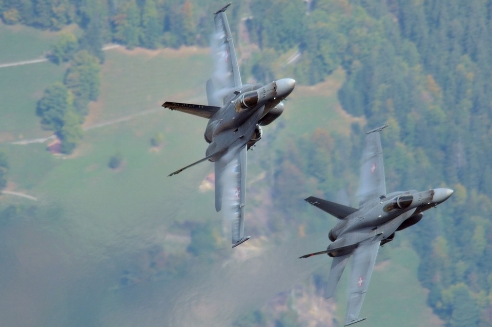 SWISS HORNETS, CAN STING.