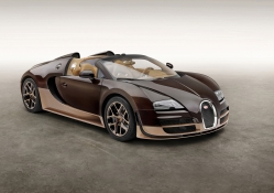 2014 Bugatti Veyron Grand Sport