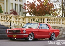 1966_Ford_Mustang_Coupe