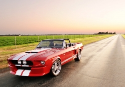 ford shelby mustang convertible