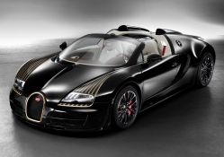 2014 Bugatti Veyron ~ Black Bess