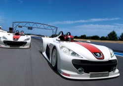 Peugeot Racing Track