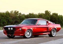 Ford Mustang Shelby GT5