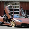 Lamborghini meet interesting color!