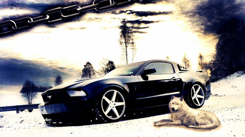 Mustang Edited