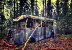 wrecked bus abandoned in a forest