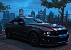 ford mustang 5.0 overlooking nyc