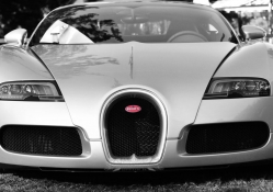 Veyron Front