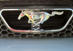 2003 Ford Mustang Logo