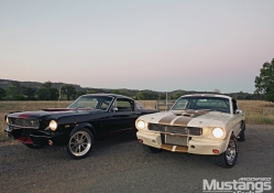 1965  Mustangs Fastback