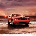 Dodge Challenger and Sunset