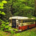 old bus becoming a part of nature