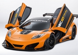 McLaren CanAm Track Day Special